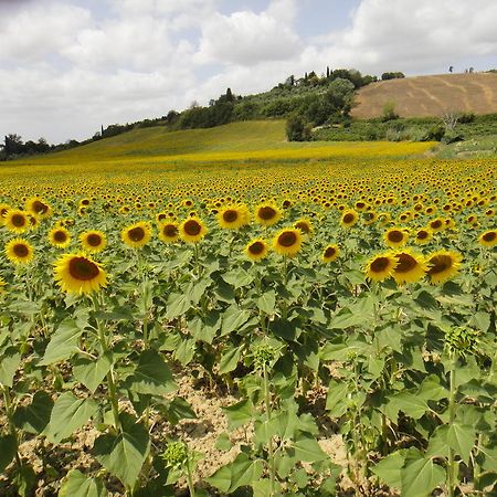 Tenuta Di Colle Alberti Agriturismo Villa Cerreto Guidi Eksteriør billede