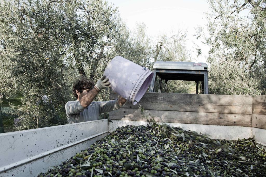 Tenuta Di Colle Alberti Agriturismo Villa Cerreto Guidi Eksteriør billede