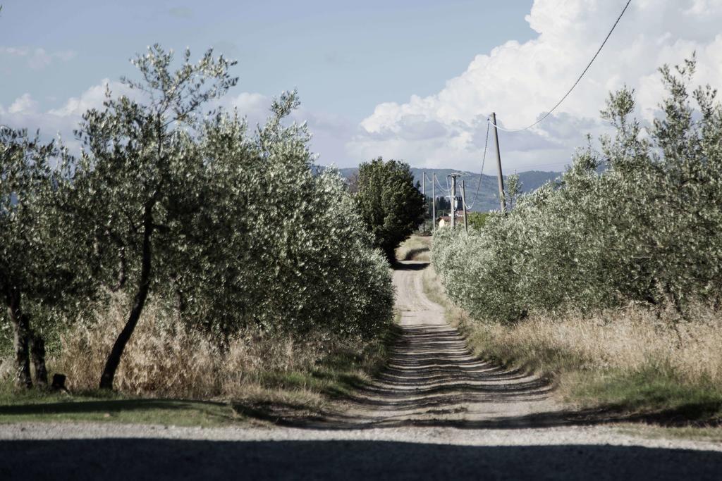 Tenuta Di Colle Alberti Agriturismo Villa Cerreto Guidi Eksteriør billede