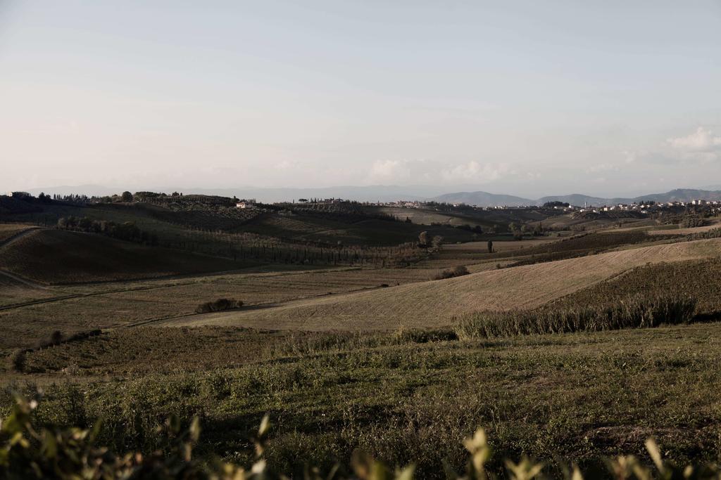 Tenuta Di Colle Alberti Agriturismo Villa Cerreto Guidi Eksteriør billede