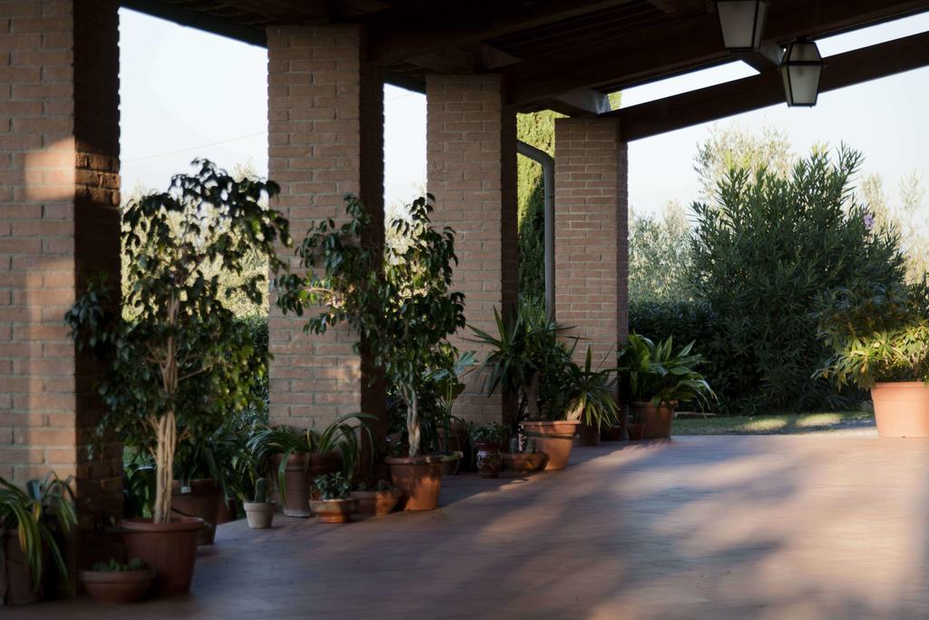 Tenuta Di Colle Alberti Agriturismo Villa Cerreto Guidi Eksteriør billede